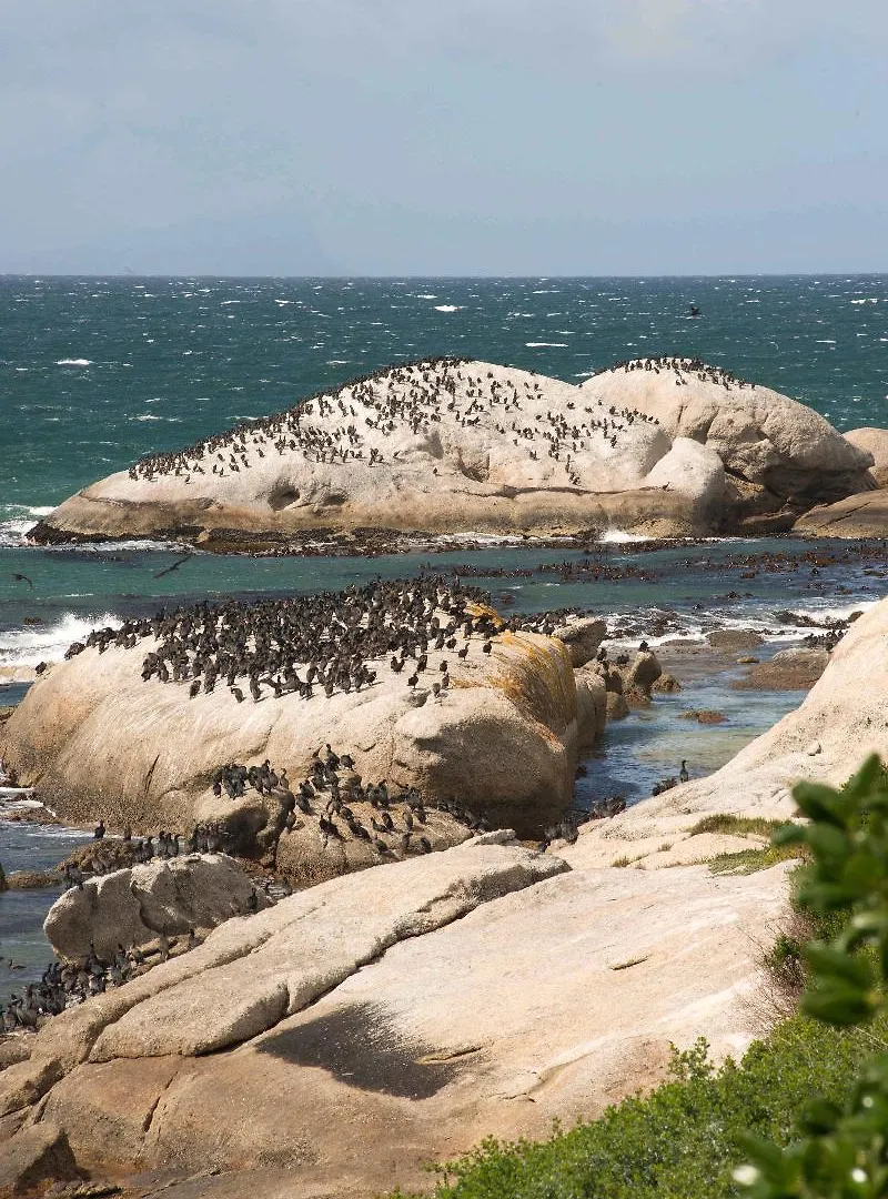 Boulders Beach Villa Simon's Town