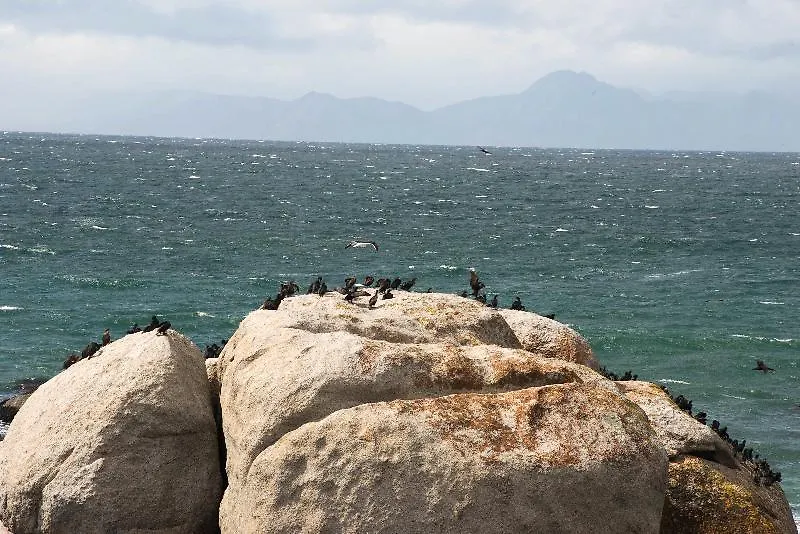 Boulders Beach Villa Simon's Town 0*,  South Africa