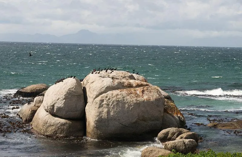 Boulders Beach Villa Simon's Town South Africa